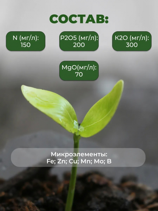 ГРУНТ 3л ПАЛЬМА ВГ