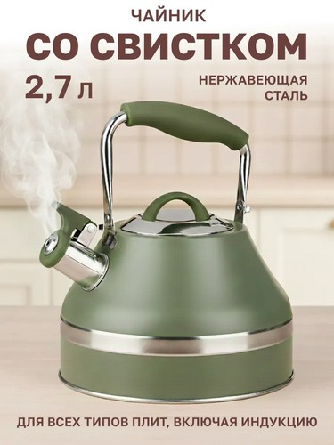 Чайник 2,7л нерж сталь индукция Астурия