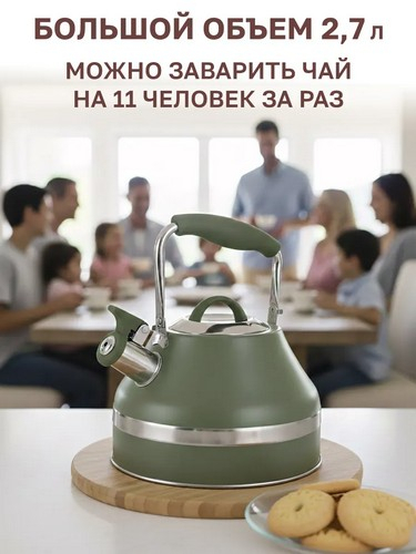 Чайник 2,7л нерж сталь индукция Астурия