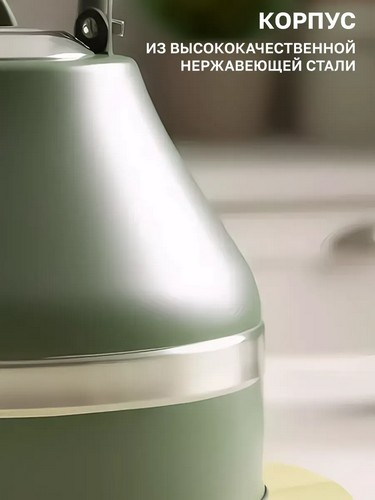 Чайник 2,7л нерж сталь индукция Астурия