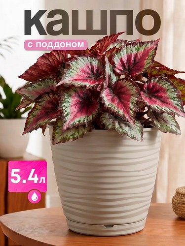 Саффрон - горшок для цветов 5,4л бежевый
