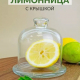 БЕЙЗИК - лимонница с крышкой