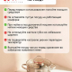 Кастрюля 6,3л 24х14,5см со стекл крышкой индукция Бирмингем